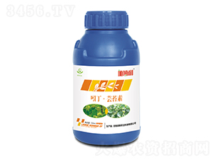 �Ŷ����|̦��-ʩ����-ʢ���r(n��ng)�I(y��)