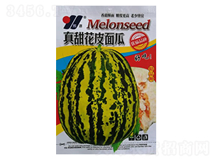 ����Ƥ���-����ϷN��-��Դ�r(n��ng)�I(y��)