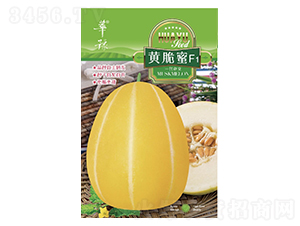 �S����-��ϷN��-��Դ�r�I(y��)