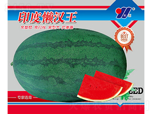 ӡ�ȑНh��-���ϷN��-��Դ�r�I(y��)