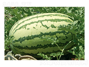 �p�tȿ�����-���ϷN��-��Դ�r�I(y��)