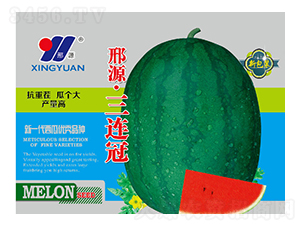 ���B��-���ϷN��-��Դ�r�I(y��)