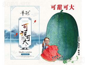 ����ɴ�-���ϷN��-��Դ�r�I(y��)