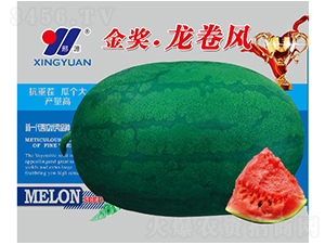 �������L-���ϷN��-��Դ�r�I(y��)