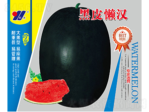 黑皮懶漢-西瓜種子-邢源農(nóng)業(yè)