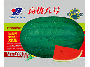 �߿�8̖-���ϷN��-��Դ�r(n��ng)�I(y��)