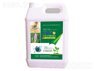 沙打旺專用根瘤菌液-巧農-大行農業(yè)