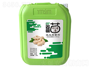 姜瘟專用微生物菌劑-葉美果美