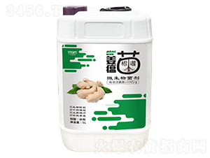 5L姜瘟專用微生物菌劑-葉美果美