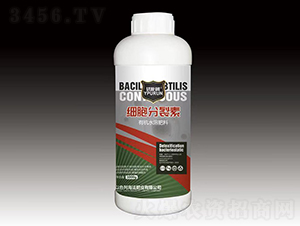 ����������-һ������ 