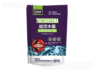 哈茨木霉-意利亞