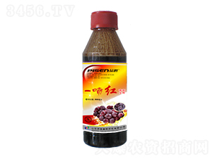 200�������ь���-һ���t-ِ�����