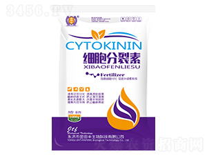 ����������-�����S 