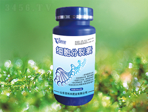 ����������-�ٿ��S 