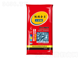 十億菌微生物菌劑-秀沃農(nóng)業(yè)