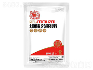 ����������25ml-�{�R�ʘI(y��) 