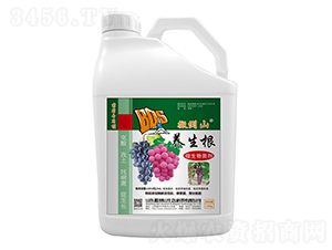 10kg微生物菌劑-養(yǎng)生根-搬倒山