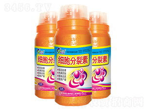 ����������-ԣ��߿����� 