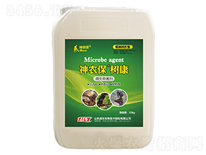 �������z�������Ƅ�-���r(n��ng)�����俵-��(zh��n)܇