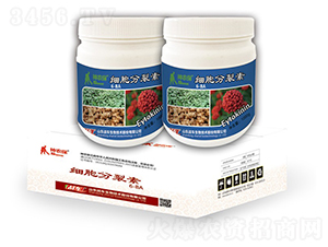 ���������ؽM��-��(zh��n)܇ 