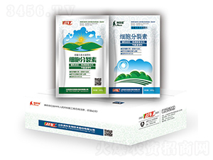 ���������أ��У�-��(zh��n)܇ 