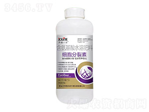 ����������-���һ��-���r(n��ng)��� 