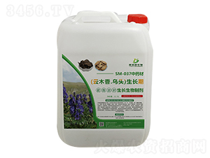 SM-037��ˎ����ľ����^���L(zh��ng)�����L(zh��ng)�����Ƅ�-�ΰ�������