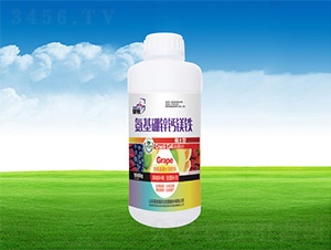 �������\�}�V�F-�μѸ� 