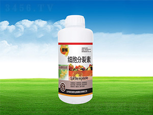 ����������-�μѸ� 