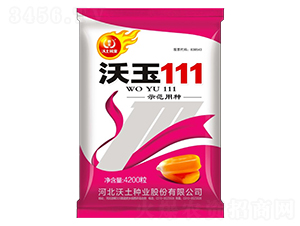 沃玉111-玉米種子-沃土種業(yè)