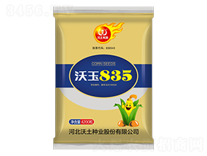 沃玉835-玉米種子-沃土種業(yè)