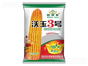 沃玉3號(hào)-玉米種子-沃土種業(yè)