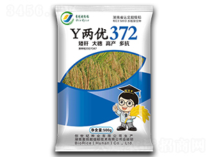 Y兩優(yōu)372-水稻種子-創(chuàng)世紀(jì)