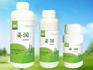 ���徫�A��-�˝�-���� 