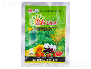 �|̦������-ʮ��ڱ������˶��fЧ����-������