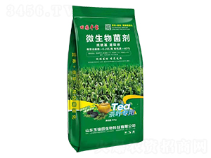 茶葉專(zhuān)用噴漿造粒微生物菌劑-玉錦田