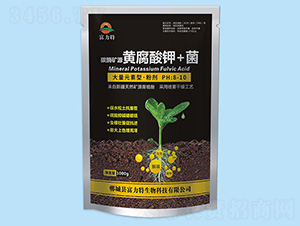 碳酶礦源黃腐酸鉀+菌-富力特