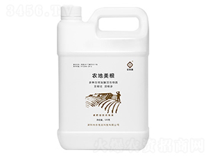 農地美根-農地美