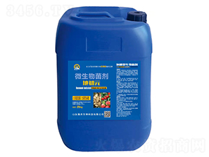 �F��΢�������-�س�Ԫ-��(qi��ng)�r(n��ng)����