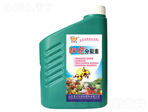 ����������-������� 