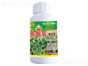 �~(y��)�Ȳݣ��iƤ�ɣ����ð������~���-��(r��n)����� 