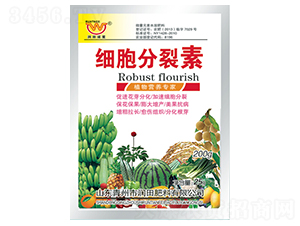 ���b����������-������� 