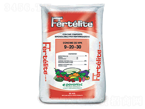 楓意·菲蒂-楓沃