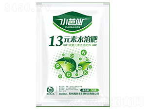 13元素水溶肥料-小芭仙-滿地豐