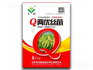 Q兩優(yōu)絲苗-水稻種子-荃銀高科