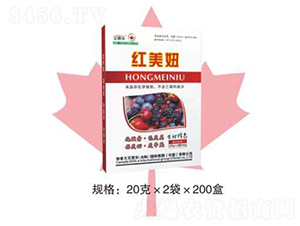 紅美妞-艾思樂(lè)