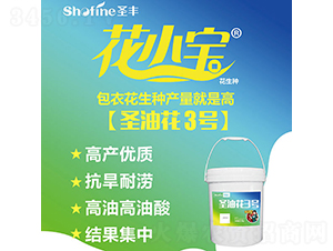 ʥ�ͻ�3̖(h��o)-�����N��-ʥ�S�N�I(y��)