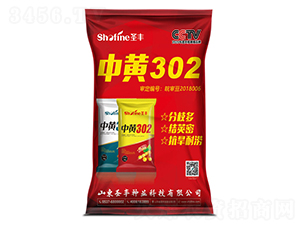 中黃302大豆種子-圣豐種業(yè)