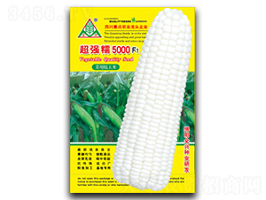 ����(qi��ng)Ŵ5000-Ŵ���׷N��-ȫ�d�N�I(y��)