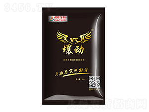 ����(d��ng)FT�����w��-�ļ����B(t��i)